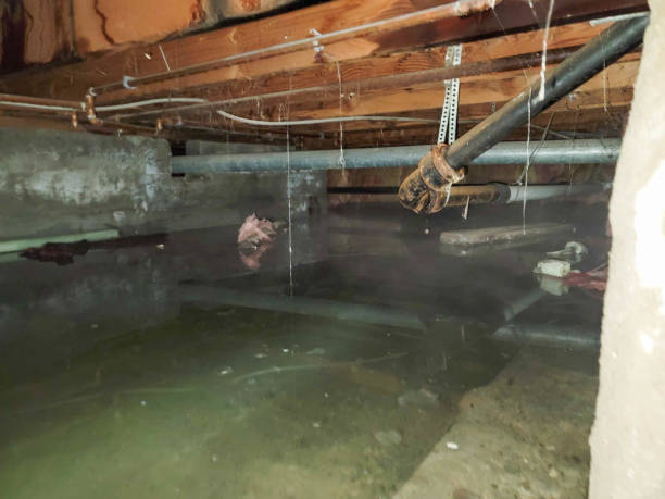Best Ceiling water damage repair  in Linwood, PA