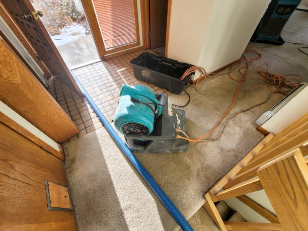 Best Basement water damage restoration  in Linwood, PA