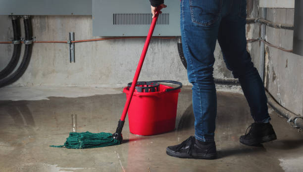 Best Water damage cleanup near me  in Linwood, PA