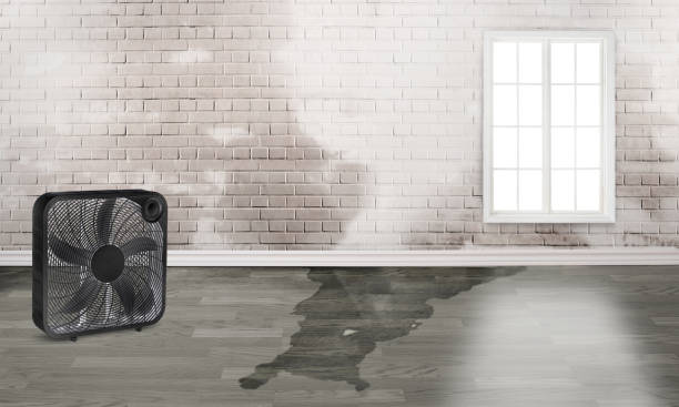 Best 24/7 water damage repair  in Linwood, PA