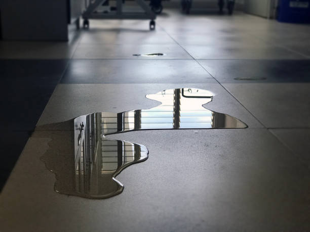 Best Water damage contractors near me  in Linwood, PA