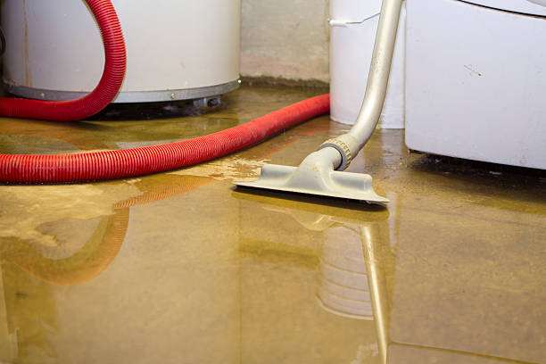 Best Flood restoration services  in Linwood, PA