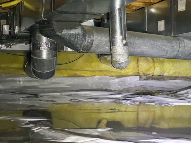 Best Flooded house restoration  in Linwood, PA