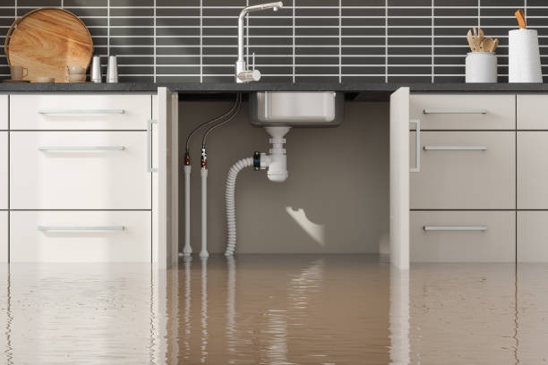 Carpet water damage restoration in Linwood, PA