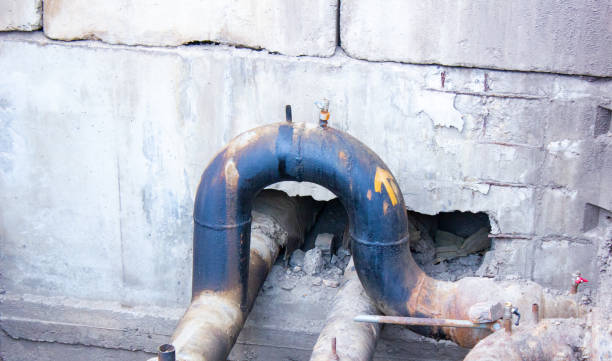 Best Carpet water damage restoration  in Linwood, PA