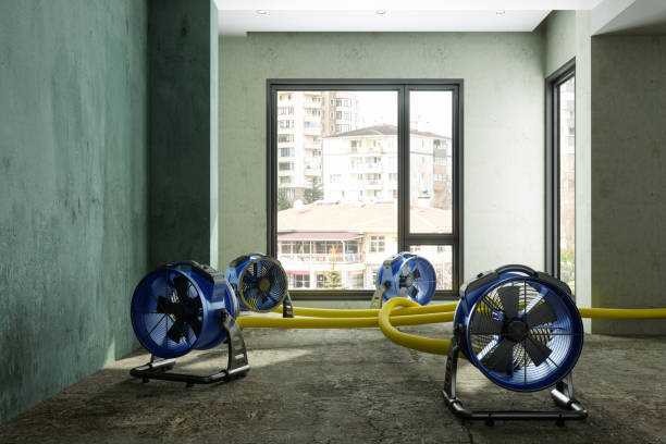 Best Fire Damage Restoration  in Linwood, PA