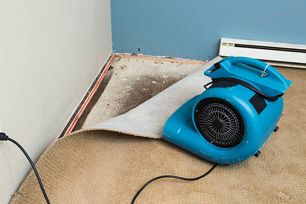 Best Emergency water damage restoration  in Linwood, PA
